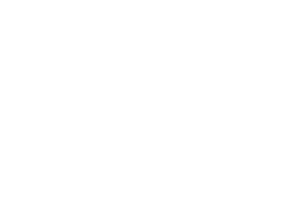 Shanker Logo